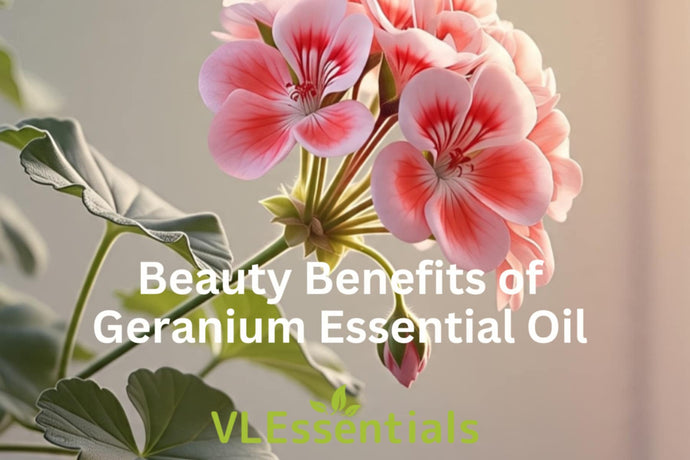 Beauty benefits of Geranium Essential Oil