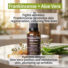 Load image into Gallery viewer, VLEssentials Anti-Ageing Skincare Bundle with natural cruelty-free facial cleansers, toner, serum, and cream
